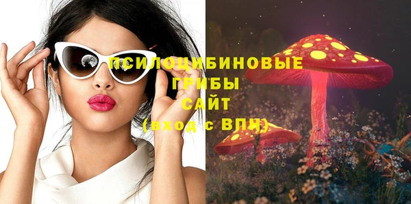 a pvp Ладушкин